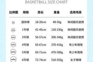 篮球运动员的训练量是多少